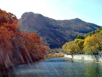 管家婆黑白马报图库，新君越油耗